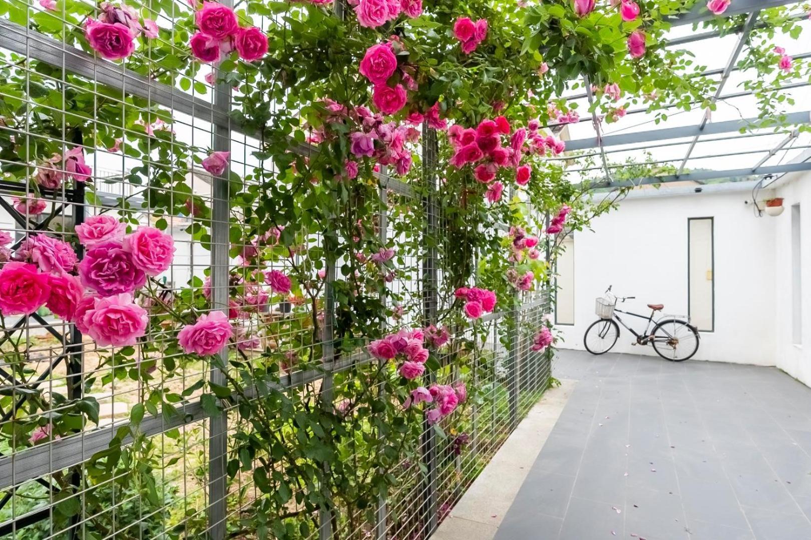 茶墅民宿 Suzhou  Exterior photo